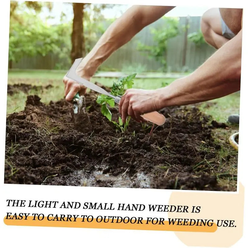 Crack Weeder & Crevice Cleaning Tool,  Stainless Steel Manual Grass Puller with Beech Wood Handle for Sidewalks, Driveways, Patio Pavers, Narrow Wall Gaps and Garden Weeds