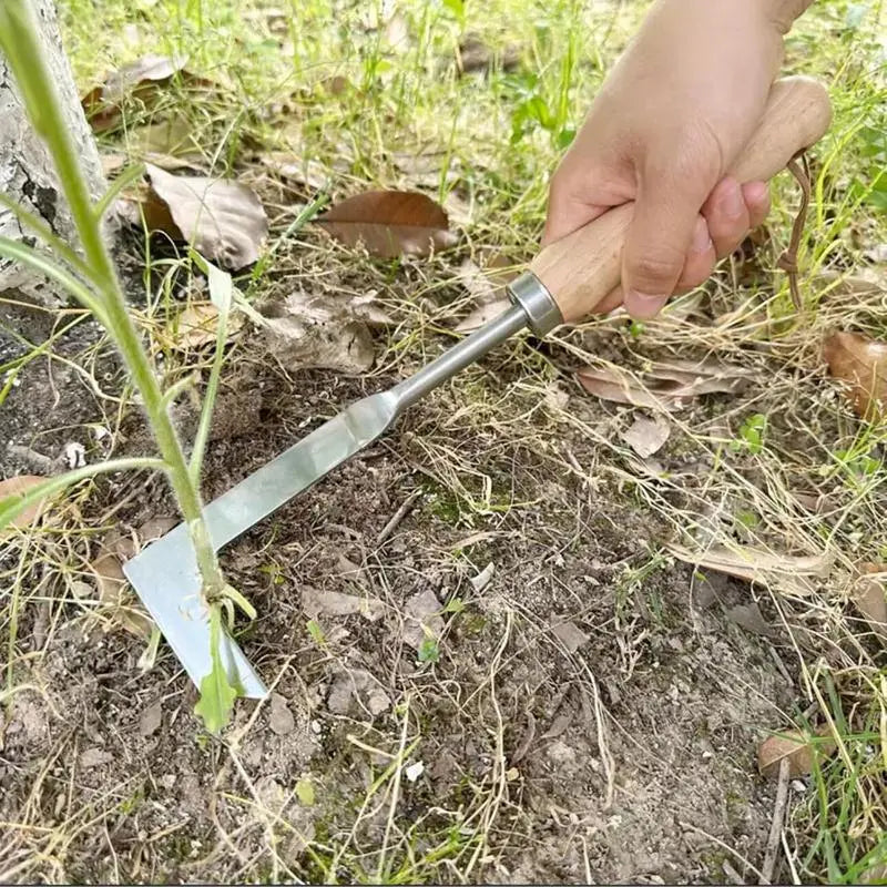 Crack Weeder & Crevice Cleaning Tool,  Stainless Steel Manual Grass Puller with Beech Wood Handle for Sidewalks, Driveways, Patio Pavers, Narrow Wall Gaps and Garden Weeds