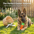 Aggressive Chewer Dog Toys, Durable Carrot Leaf Design for Teeth Cleaning & Mental Stimulation[Sold 598 units]